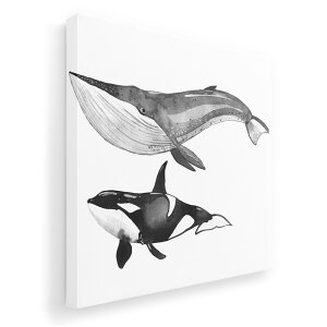 A[gpl G G  IׂTCY 333×333mm  XNGA _  ʐ^ tHg CeA  016066 V`@@NW