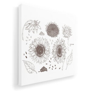 A[gpl G G  IׂTCY 333×333mm  XNGA _  ʐ^ tHg CeA  016123 Ђ܂@A