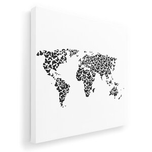 A[gpl G G  IׂTCY 455×455mm  XNGA _  ʐ^ tHg CeA  016161 n}@En}