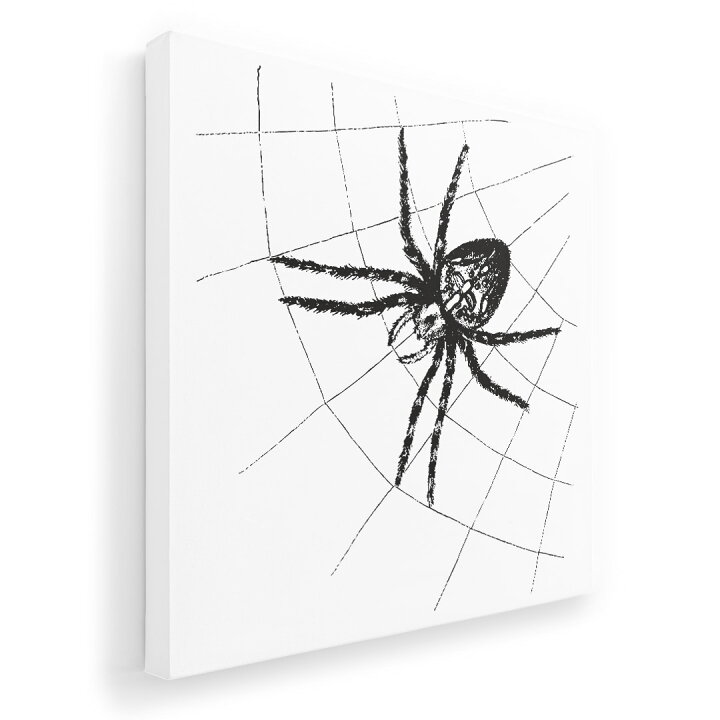 楽天市場 アートパネル 絵 絵画 飾り 選べるサイズ 333 333mm 正方 スクエア モダン 玄関 写真 フォト インテリア おしゃれ 0174 リアル 蜘蛛 クモ Kabeコレ