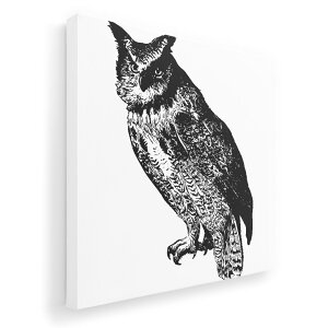 A[gpl G G  IׂTCY 333×333mm  XNGA _  ʐ^ tHg CeA  017483 A@tNE@