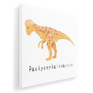 A[gpl G G  IׂTCY 455×455mm  XNGA _  ʐ^ tHg CeA  017690 pLPt@TEX saurus 