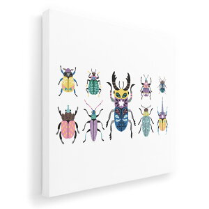 A[gpl G G  IׂTCY 455×455mm  XNGA _  ʐ^ tHg CeA  017768 @@Jt@ꗗ