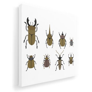 A[gpl G G  IׂTCY 455×455mm  XNGA _  ʐ^ tHg CeA  017770 @@JugV@NK^