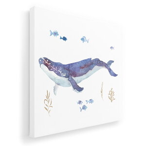 A[gpl G G  IׂTCY 333×333mm  XNGA _  ʐ^ tHg CeA  017806 @C̒@