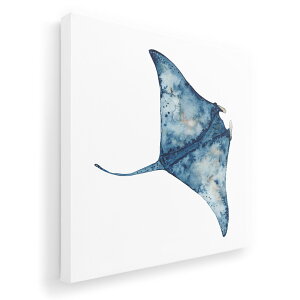 A[gpl G G  IׂTCY 333×333mm  XNGA _  ʐ^ tHg CeA  017847 Underwater@}^@GC@C̒