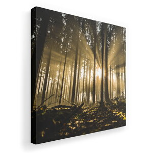 A[gpl G G  IׂTCY 333×333mm  XNGA _  ʐ^ tHg CeA  018321 X ʐ^