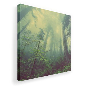 A[gpl G G  IׂTCY 333×333mm  XNGA _  ʐ^ tHg CeA  018322 X ʐ^