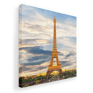 A[gpl G G  IׂTCY 455×455mm  XNGA _  ʐ^ tHg CeA  018324 ʐ^ GbtF p