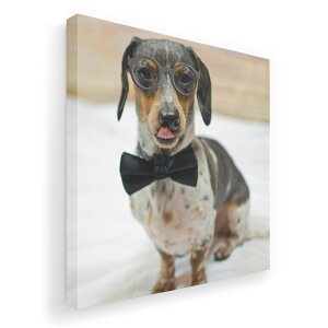 A[gpl G G  IׂTCY 333×333mm  XNGA _  ʐ^ tHg CeA  018326  ʐ^