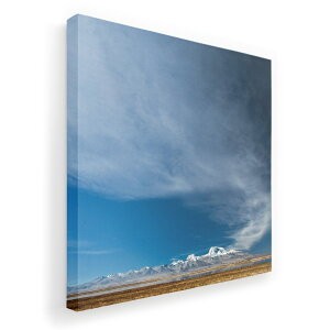 A[gpl G G  IׂTCY 333×333mm  XNGA _  ʐ^ tHg CeA  018336 R ʐ^ 