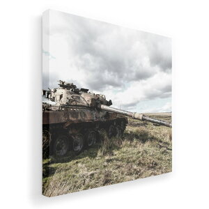 A[gpl G G  IׂTCY 455×455mm  XNGA _  ʐ^ tHg CeA  018352  ʐ^ ^N