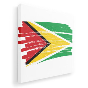 A[gpl G G  IׂTCY 455×455mm  XNGA _  ʐ^ tHg CeA  018464 guyana KCAi