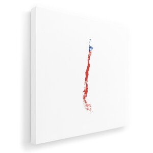 A[gpl G G  IׂTCY 333×333mm  XNGA _  ʐ^ tHg CeA  018796 chile `