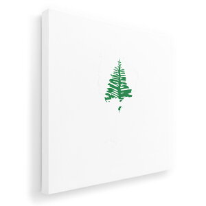 A[gpl G G  IׂTCY 333×333mm  XNGA _  ʐ^ tHg CeA  018906 norfolk_island m[tH[N