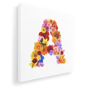 A[gpl G G  IׂTCY 455×455mm  XNGA _  ʐ^ tHg CeA  019306  a At@xbg