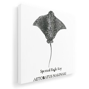 A[gpl G G  IׂTCY 455×455mm  XNGA _  ʐ^ tHg CeA  019732 C̐ }_grGC