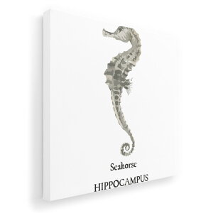 A[gpl G G  IׂTCY 455×455mm  XNGA _  ʐ^ tHg CeA  019734 C̐ Seahorse ^cmIgVS