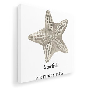 �A�[�g�p�l�� �G �G�� ���� �I�ׂ�T�C�Y 333×333mm ���� �X�N�G�A ���_�� ���� �ʐ^ �t�H�g �C���e���A ������� 019737 �C�̐��� �q�g�f starfish