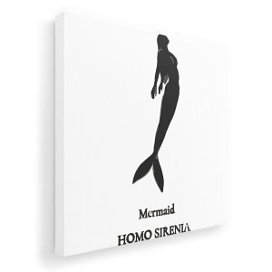 A[gpl G G  IׂTCY 455×455mm  XNGA _  ʐ^ tHg CeA  019739 C̐ l Mermaid