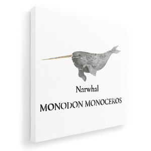 A[gpl G G  IׂTCY 333×333mm  XNGA _  ʐ^ tHg CeA  019746 C̐ CbJN narwhal