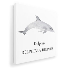 アートパネル 絵 絵画 飾り 選べるサイズ 333×333mm 正方 スクエア モダン 玄関 写真 フォト インテリア おしゃれ 019748 海の生物 イルカ dolphin