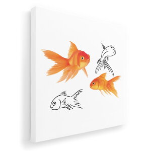 A[gpl G G  IׂTCY 455×455mm  XNGA _  ʐ^ tHg CeA  019751  Goldfish 