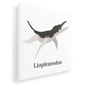 A[gpl G G  IׂTCY 333×333mm  XNGA _  ʐ^ tHg CeA  019795  Liopleurodon IvEh