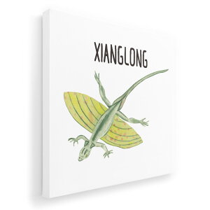 A[gpl G G  IׂTCY 333×333mm  XNGA _  ʐ^ tHg CeA  019832  Xianglong V