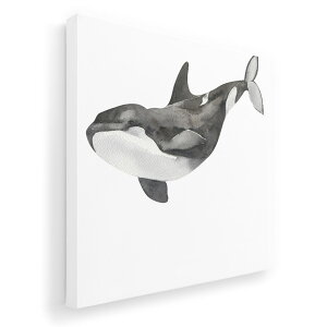 A[gpl G G  IׂTCY 455×455mm  XNGA _  ʐ^ tHg CeA  019925 C̐ V`