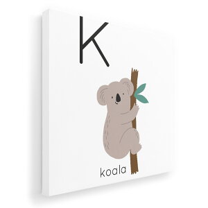 A[gpl G G  IׂTCY 455×455mm  XNGA _  ʐ^ tHg CeA  019943 K koala RA