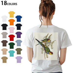 Iׂ18J[ TVc fB[X  zCg O[ fUC M L TVc eB[Vc T shirt 036026  G Jt