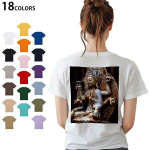 Iׂ18J[ TVc fB[X  zCg O[ fUC M L TVc eB[Vc T shirt 005093 @ʐ^@