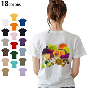 Iׂ18J[ TVc fB[X  zCg O[ fUC M L TVc eB[Vc T shirt 014995 H@o@ʕ