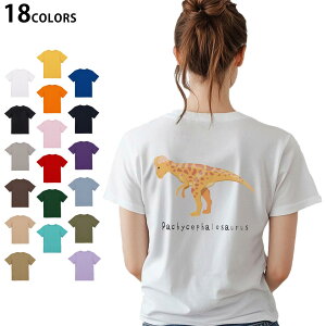 Iׂ18J[ TVc fB[X  zCg O[ fUC M L TVc eB[Vc T shirt 017690 pLPt@TEX saurus 