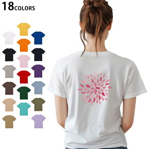Iׂ18J[ TVc fB[X  zCg O[ fUC M L TVc eB[Vc T shirt 019759  łグԉ firework