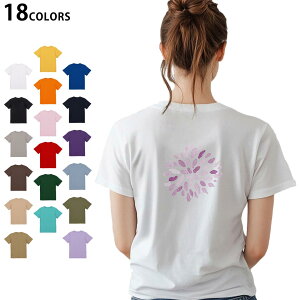 Iׂ18J[ TVc fB[X  zCg O[ fUC M L TVc eB[Vc T shirt 019760  łグԉ firework