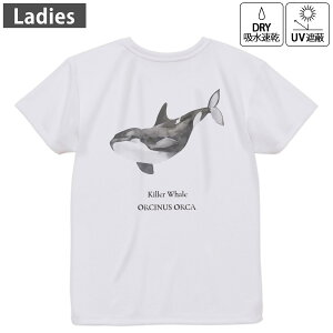 fB[X hCobNvgTVc zCg  4.1IX W g[jO X|[c ^ hCAX`bN UVJbg OՕ z fUC Tshirt M L 019743 C̐ V