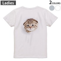 楽天市場】ネコプリント tシャツ レディースの通販 