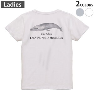 T�V���c ���f�B�[�X �o�b�N�v�����g ���� �z���C�g �O���[ �f�U�C�� M L�e�B�[�V���c T shirt 019741 �C�̐��� �V���i�K�X�N�W�� blue whale