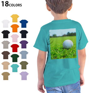 Iׂ18J[ TVc LbY  zCg O[ fUC 90 100 110 120 130 140 150 160 TVc eB[Vc T shirt 000255 St@Ő@X|[c