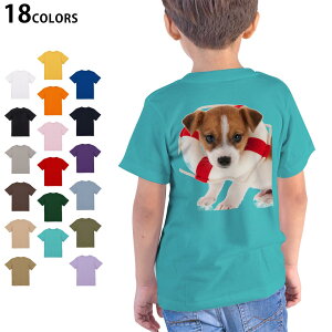 Iׂ18J[ TVc LbY  zCg O[ fUC 90 100 110 120 130 140 150 160 TVc eB[Vc T shirt 001242 @