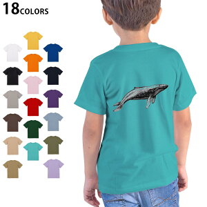 Iׂ18J[ TVc LbY  zCg O[ fUC 90 100 110 120 130 140 150 160 TVc eB[Vc T shirt 032232 ~