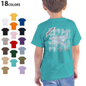 Iׂ18J[ TVc LbY  zCg O[ fUC 90 100 110 120 130 140 150 160 TVc eB[Vc T shirt 032587 N NW cute