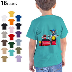 Iׂ18J[ TVc LbY  zCg O[ fUC 90 100 110 120 130 140 150 160 TVc eB[Vc T shirt 008126 ʐ^@@oCN@ԁ@bh