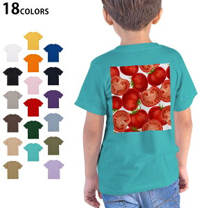 Iׂ18J[ TVc LbY  zCg O[ fUC 90 100 110 120 130 140 150 160 TVc eB[Vc T shirt 008422 ؁@g}g@ԁ@bh@͗l