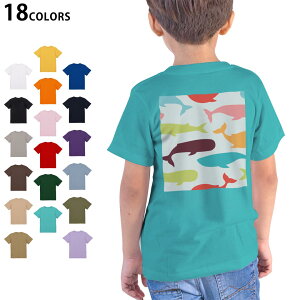 Iׂ18J[ TVc LbY  zCg O[ fUC 90 100 110 120 130 140 150 160 TVc eB[Vc T shirt 009452 @@Jt