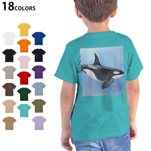 Iׂ18J[ TVc LbY  zCg O[ fUC 90 100 110 120 130 140 150 160 TVc eB[Vc T shirt 010302 C@@