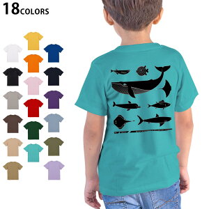 Iׂ18J[ TVc LbY  zCg O[ fUC 90 100 110 120 130 140 150 160 TVc eB[Vc T shirt 010961 C@@