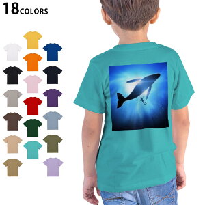 Iׂ18J[ TVc LbY  zCg O[ fUC 90 100 110 120 130 140 150 160 TVc eB[Vc T shirt 012663 NW@VGbg@_CrO